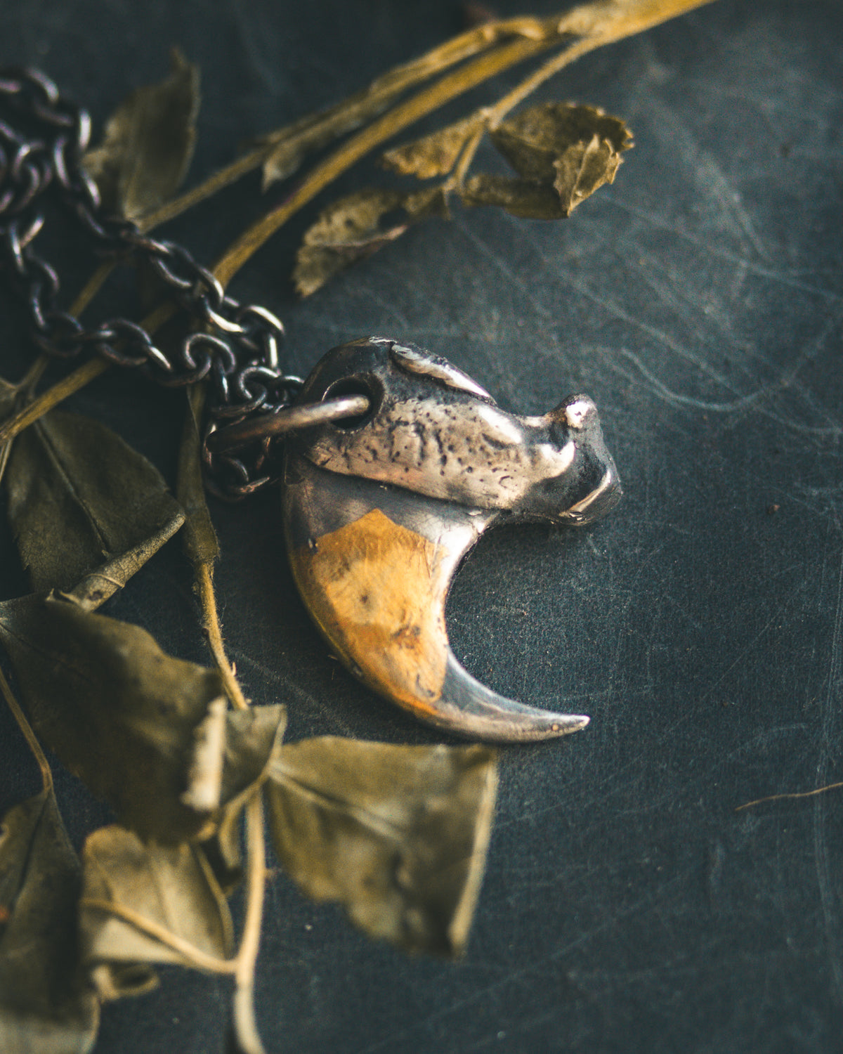 Bobcat Claw Pendant: A Symbol of Mystery and Freedom