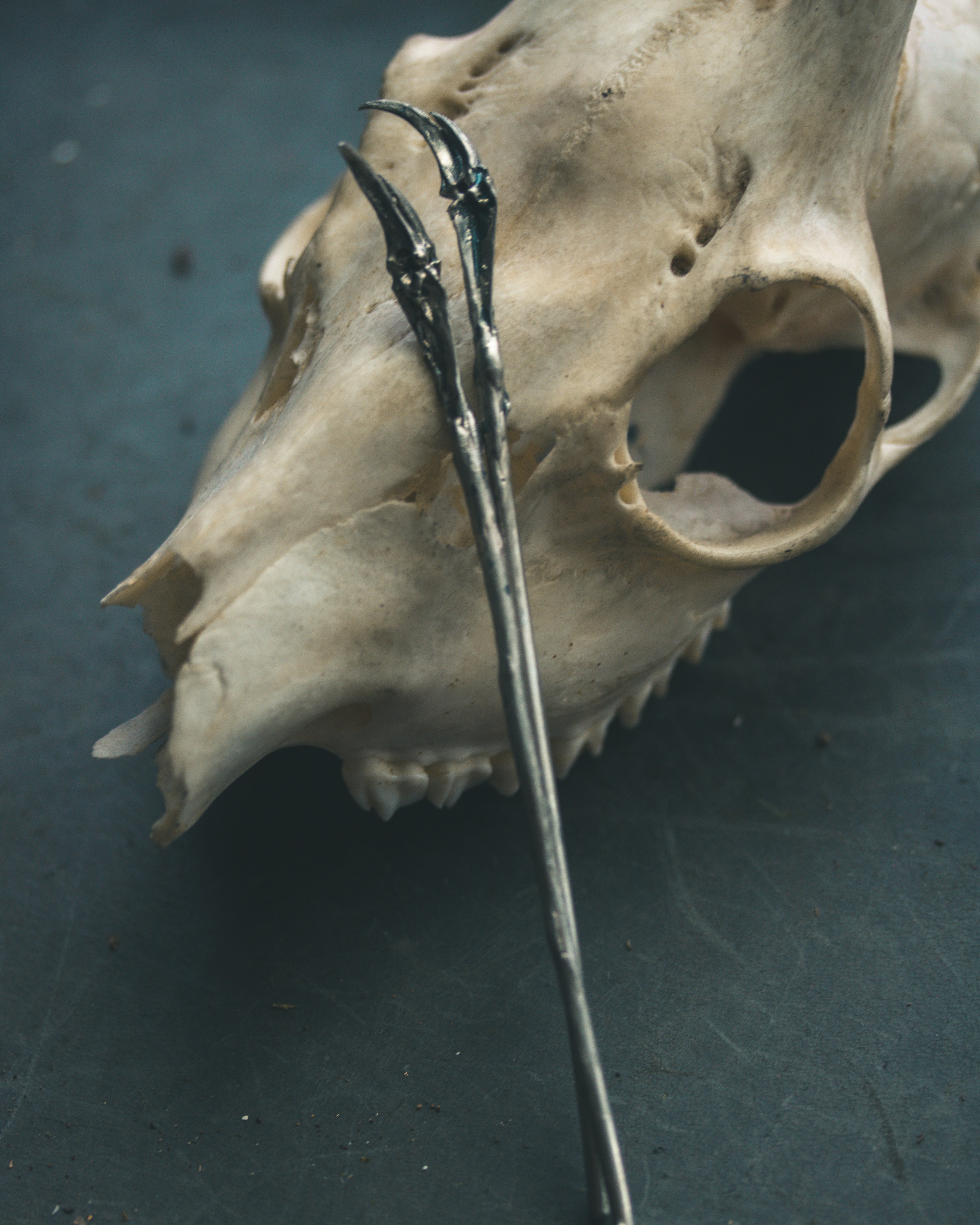 White Brass Fish Bone  6 Inch Hair Pins: Viking Elegance with a Touch of the Macabre