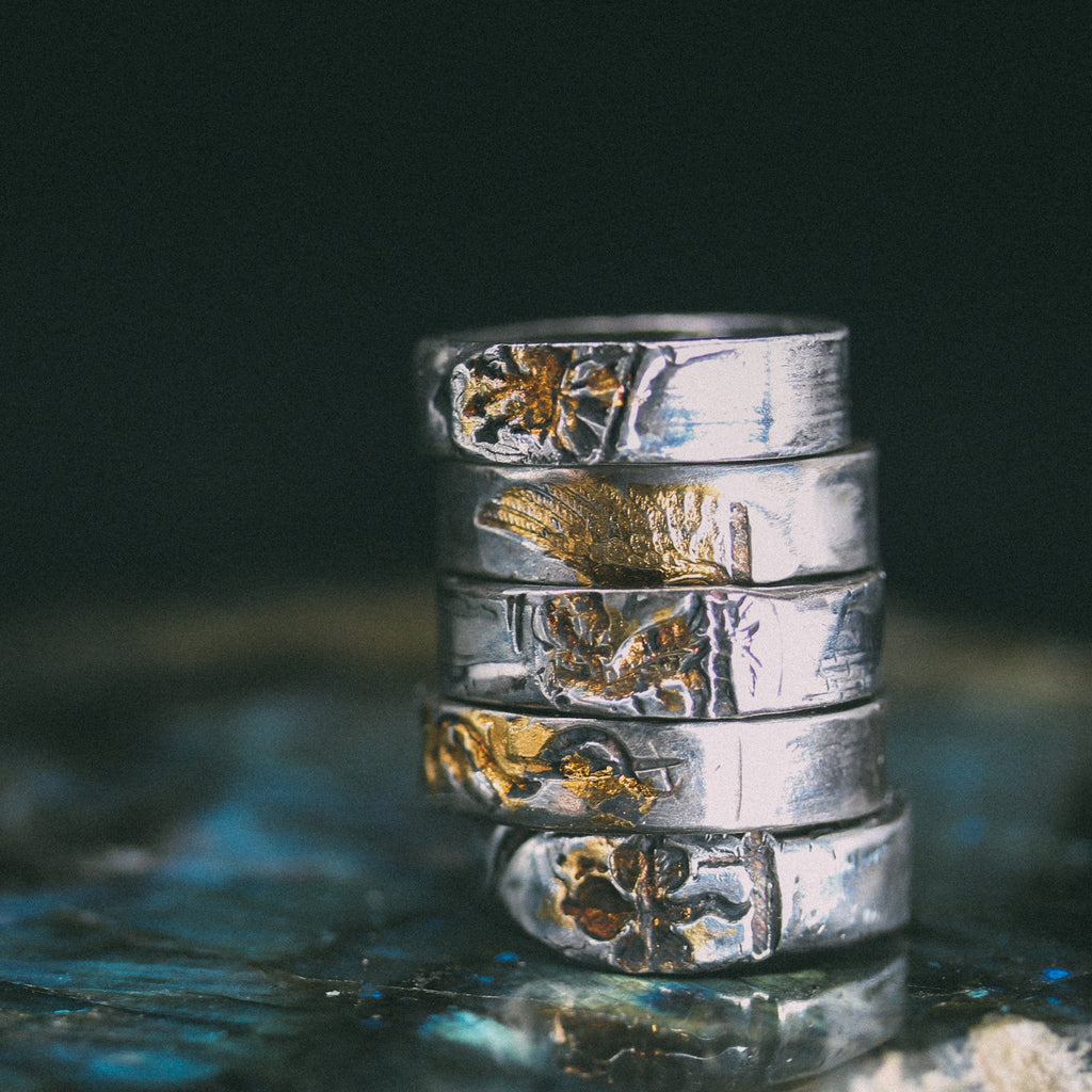 Broken Wing Band - Machinations