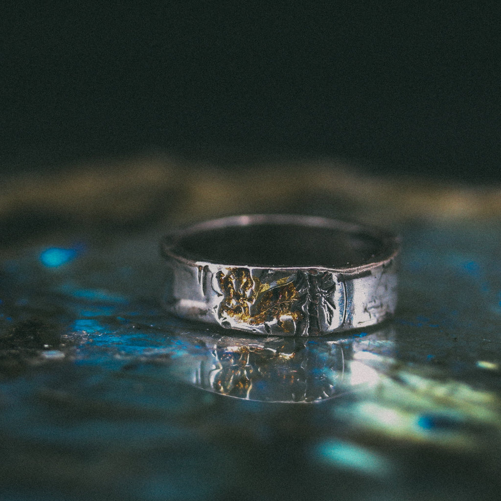 Dragon Band - Machinations