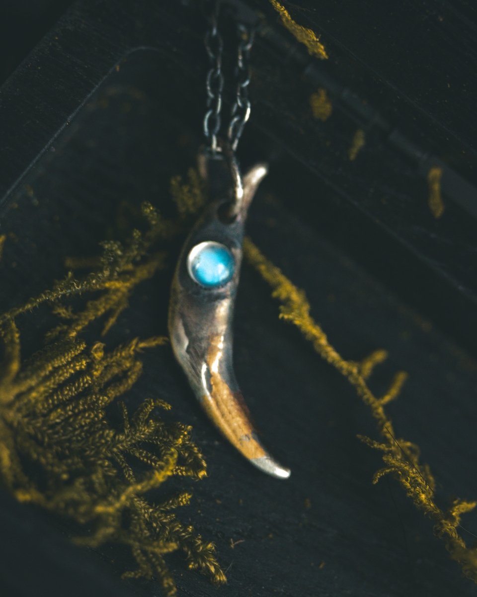 Fox Fang Pendant with Rainbow Moonstone – Sterling Silver Symbol of Intuition, Adaptability, and Hidden Wisdom - Machinations