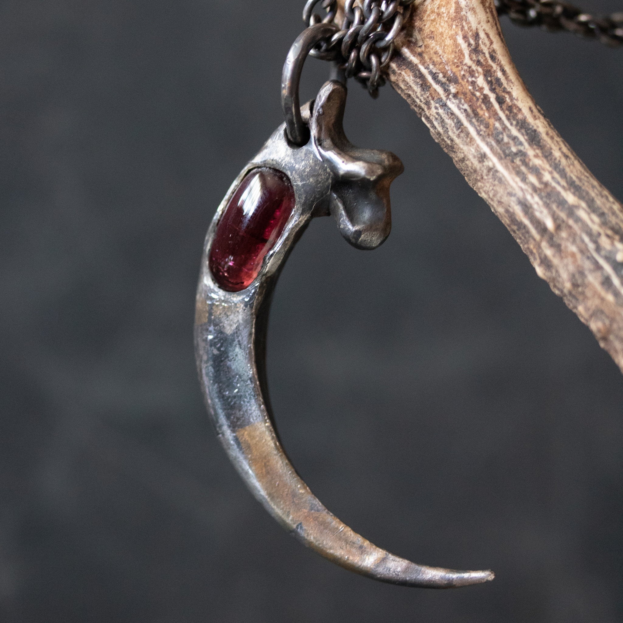 Golden Eagle Talon With Red Tourmaline - Machinations