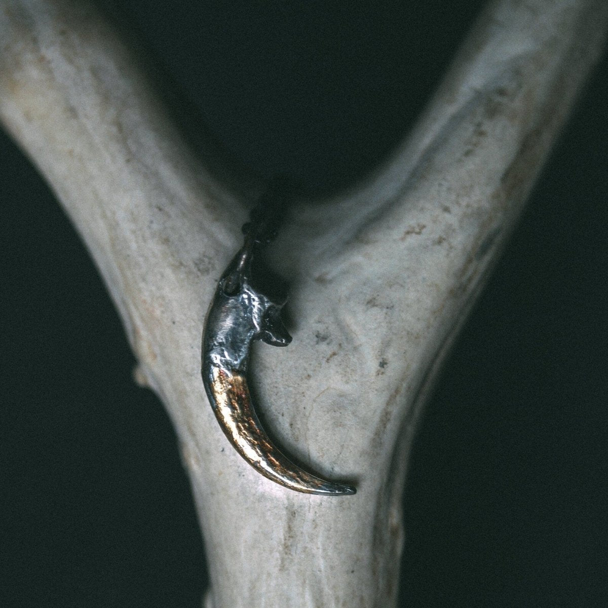 Great Horned Owl Talon Pendant: A Symbol of Wisdom and Power - Machinations