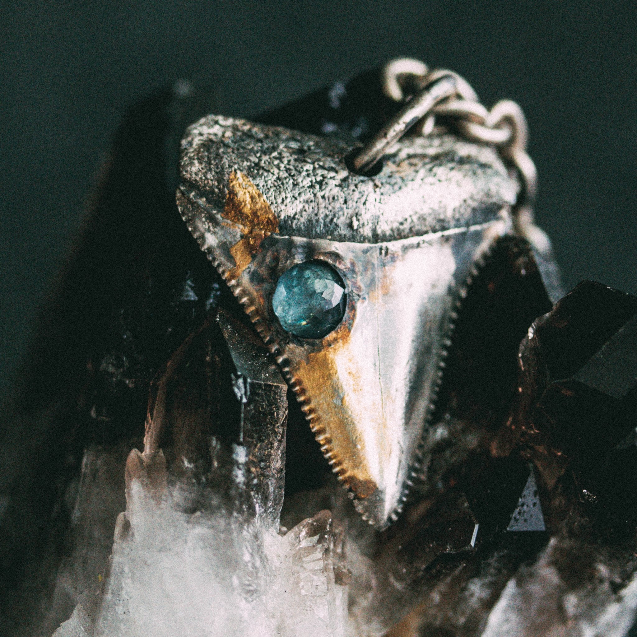 Great White Shark With Santa Maria Rose Cut - Machinations