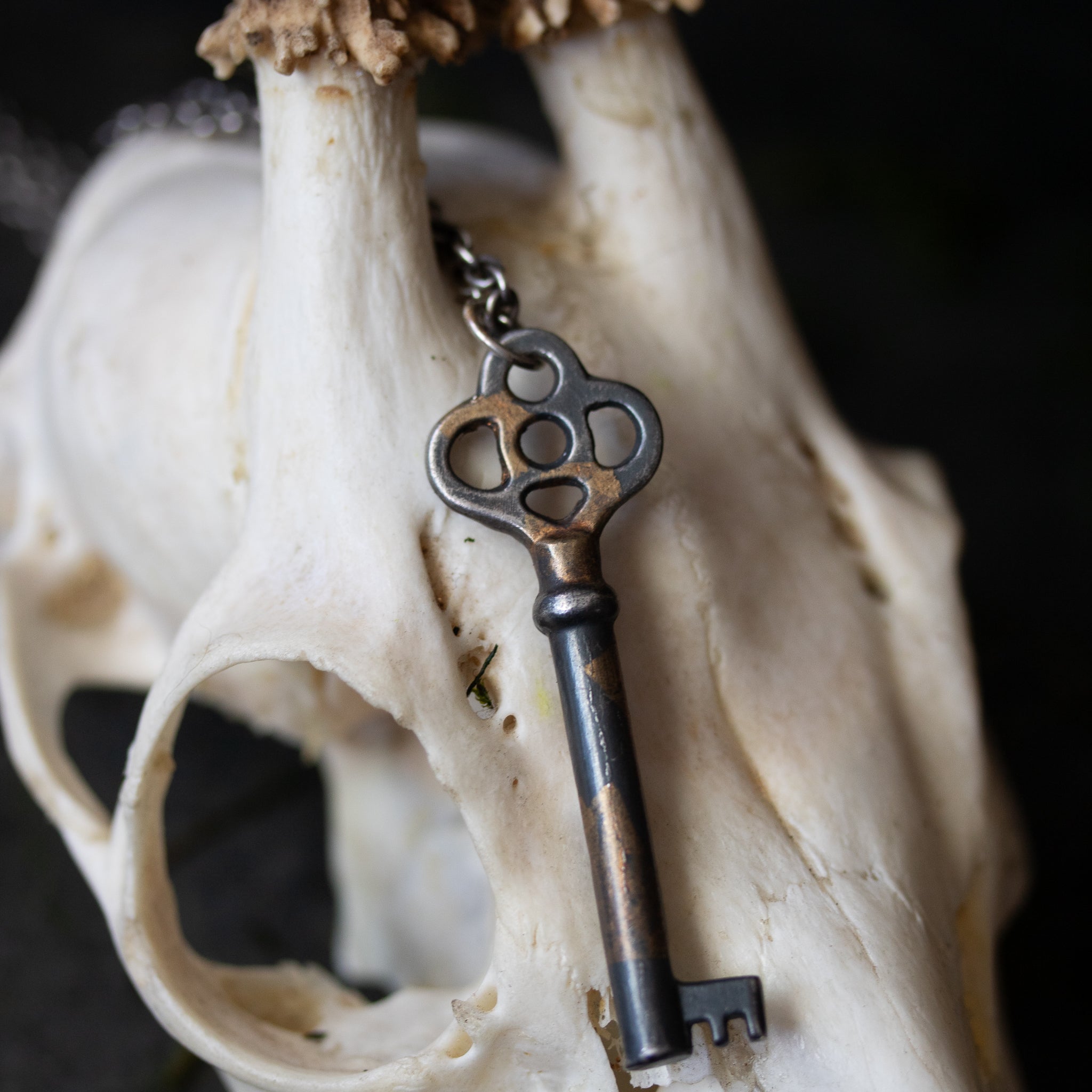 Hekate's key - Machinations