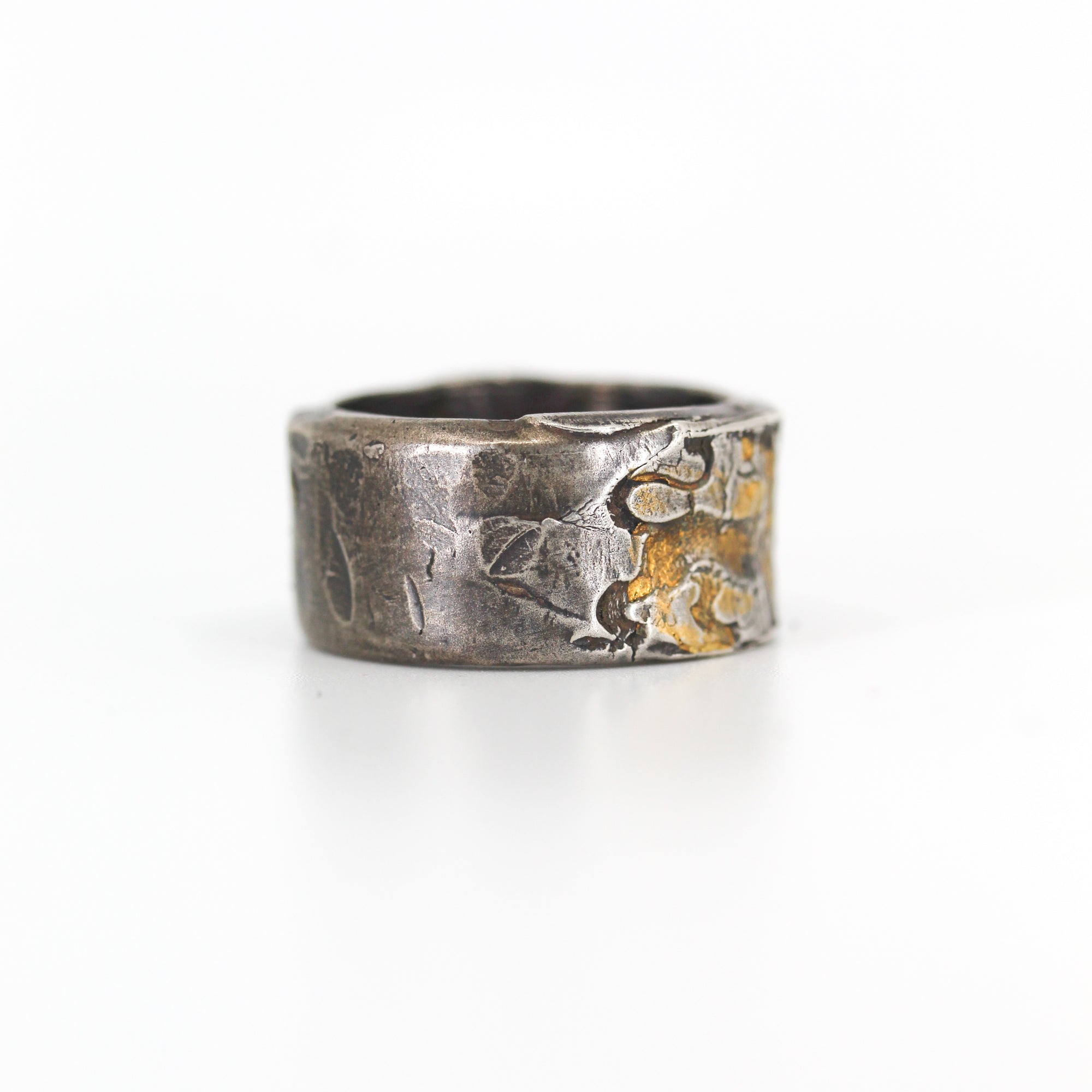 Illuminated Lion Heart Heavy Band - Machinations