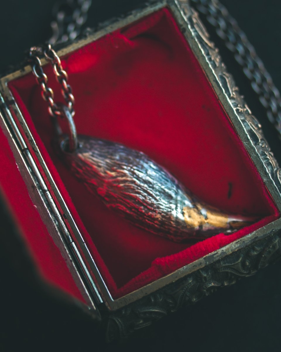 Large Black Bear Tooth Pendant: A Symbol of Strength and Wilderness - Machinations