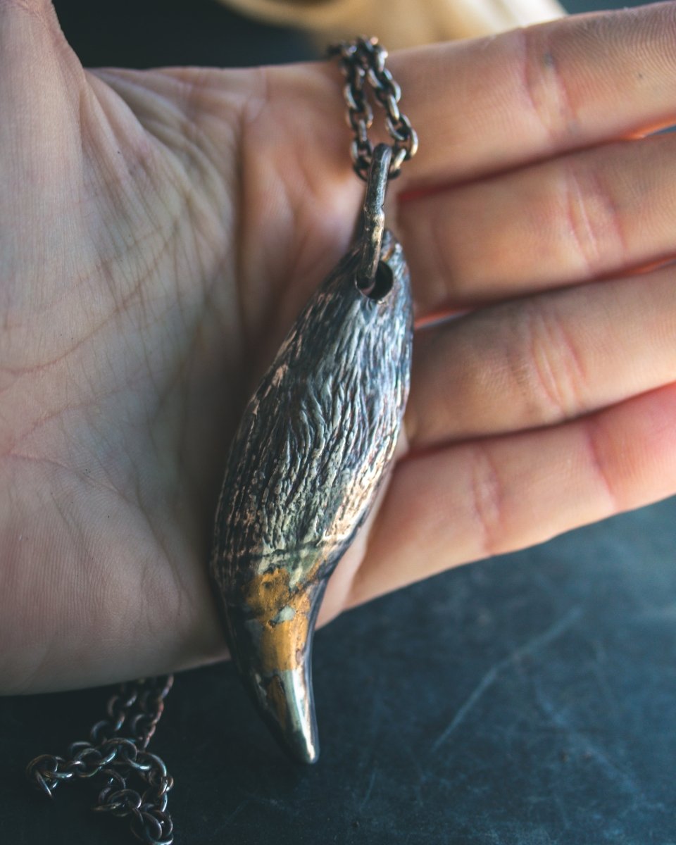 Large Black Bear Tooth Pendant: A Symbol of Strength and Wilderness - Machinations