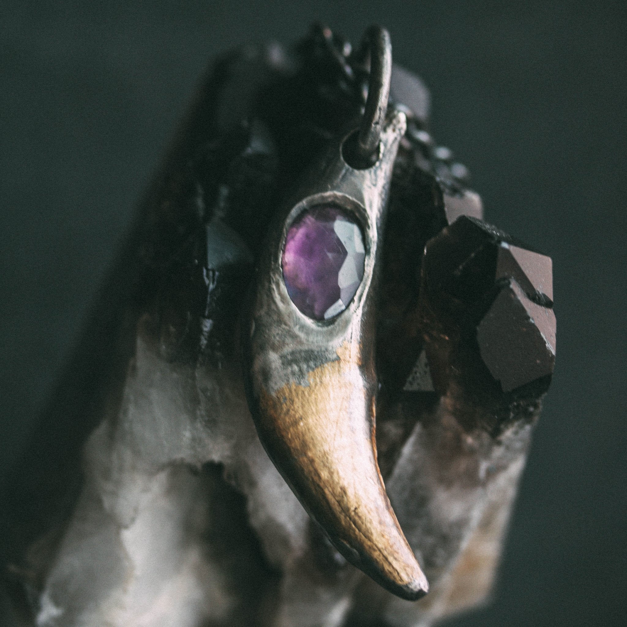 Lupus Spiritus Fang with Amethyst - Machinations
