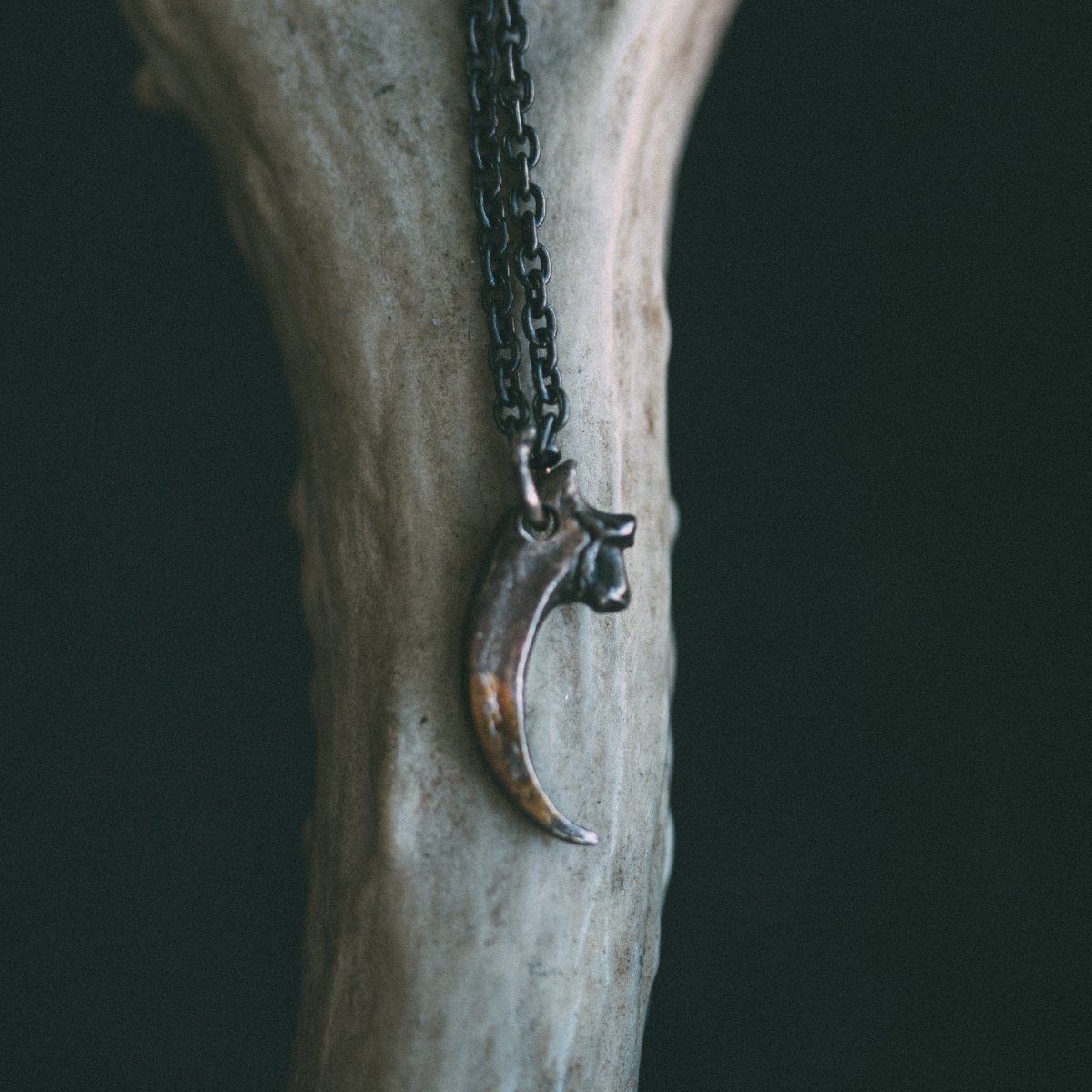 Peregrine Falcon Talon Pendant: Soar with Freedom and Vision - Machinations