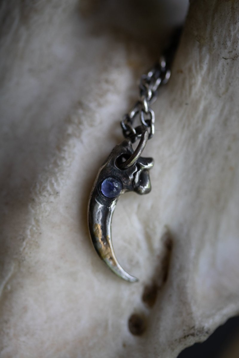 Peregrine Falcon Talon Pendant with Tanzanite Cabochon - Machinations