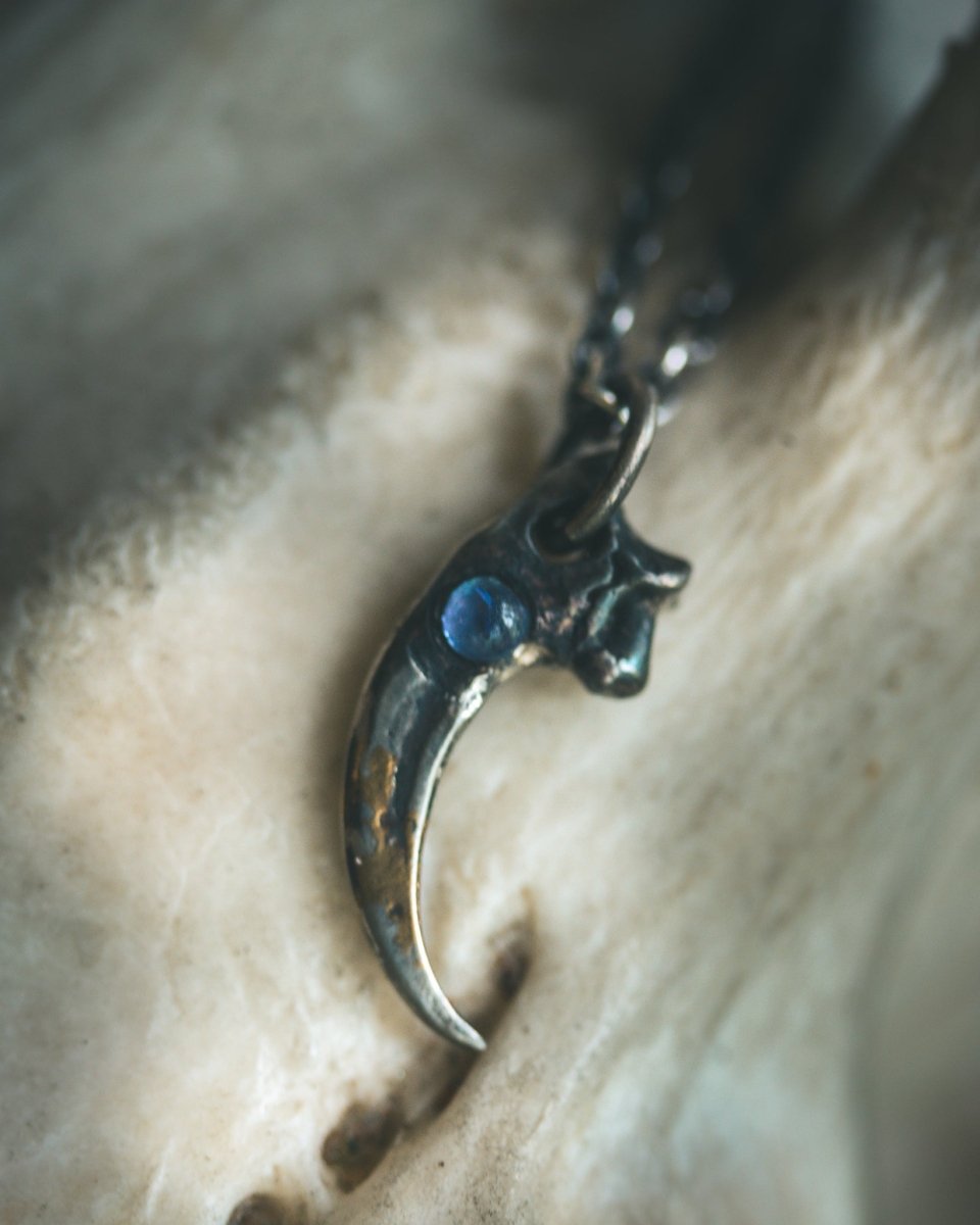 Peregrine Falcon Talon Pendant with Tanzanite Cabochon - Machinations