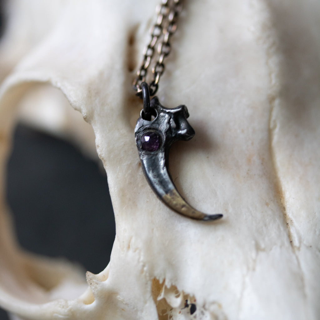 Peregrine Falcon Talon with Amethyst Rosecut - Machinations