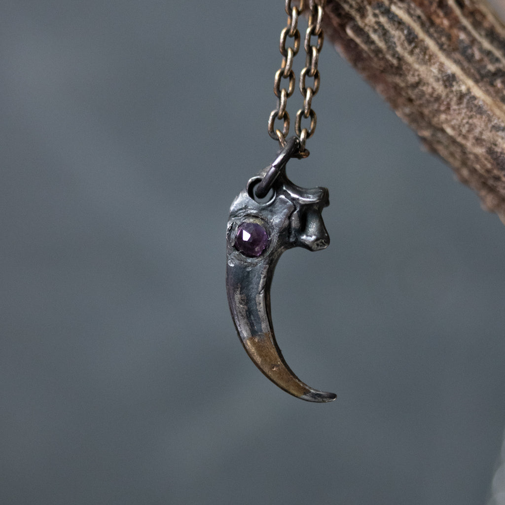 Peregrine Falcon Talon with Amethyst Rosecut - Machinations