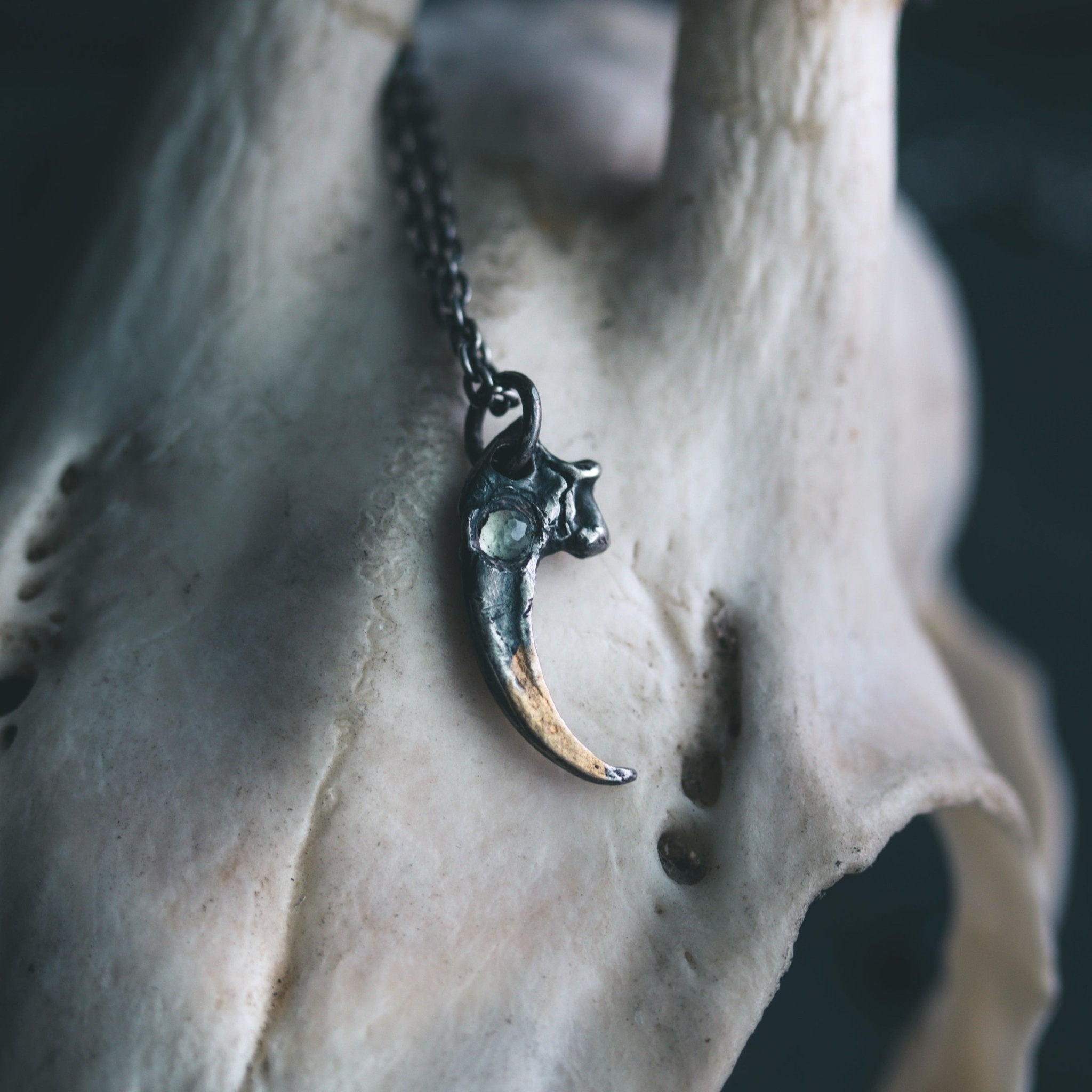 Peregrine Falcon Talon with Aquamarine - Machinations