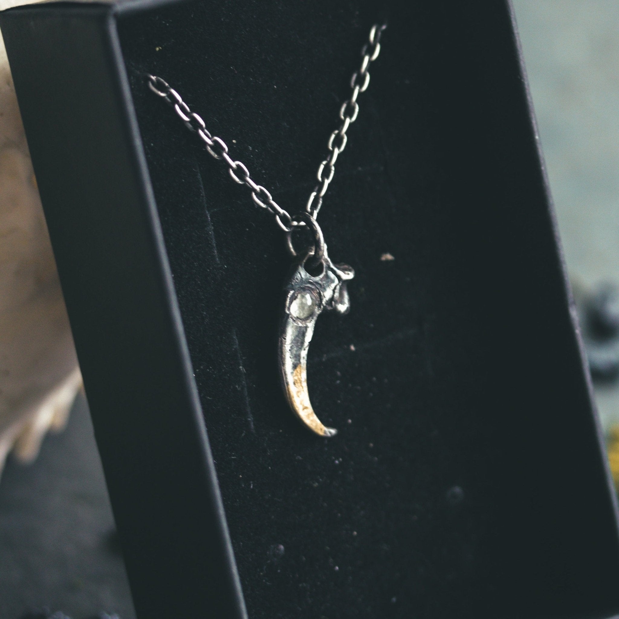 Peregrine Falcon Talon with Aquamarine - Machinations