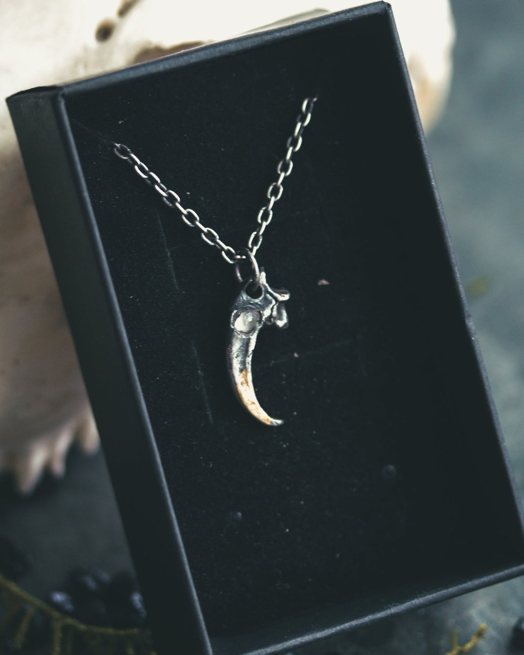 Peregrine Falcon Talon with Aquamarine - Machinations