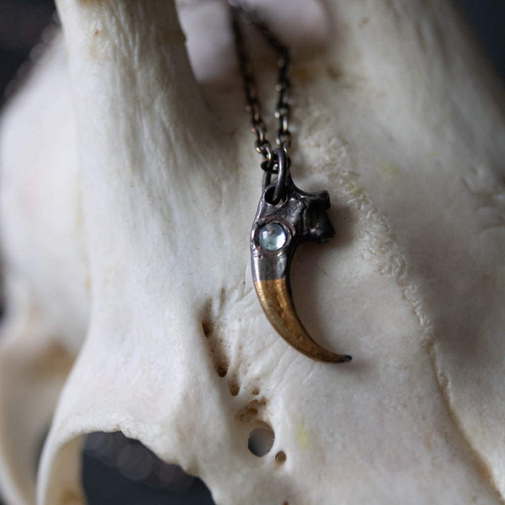 Peregrine Falcon Talon with Aquamarine - Machinations