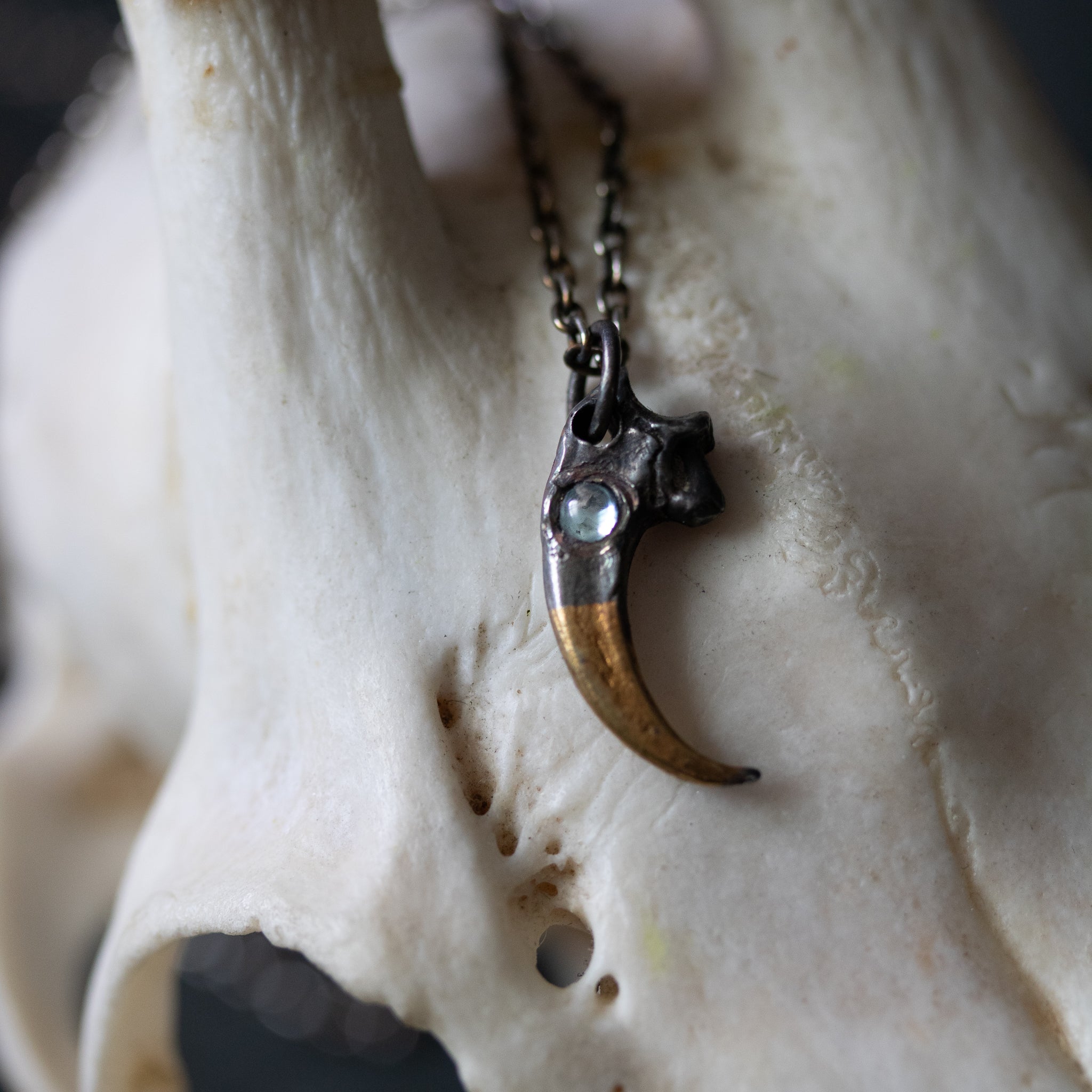 Peregrine Falcon Talon with Aquamarine - Machinations