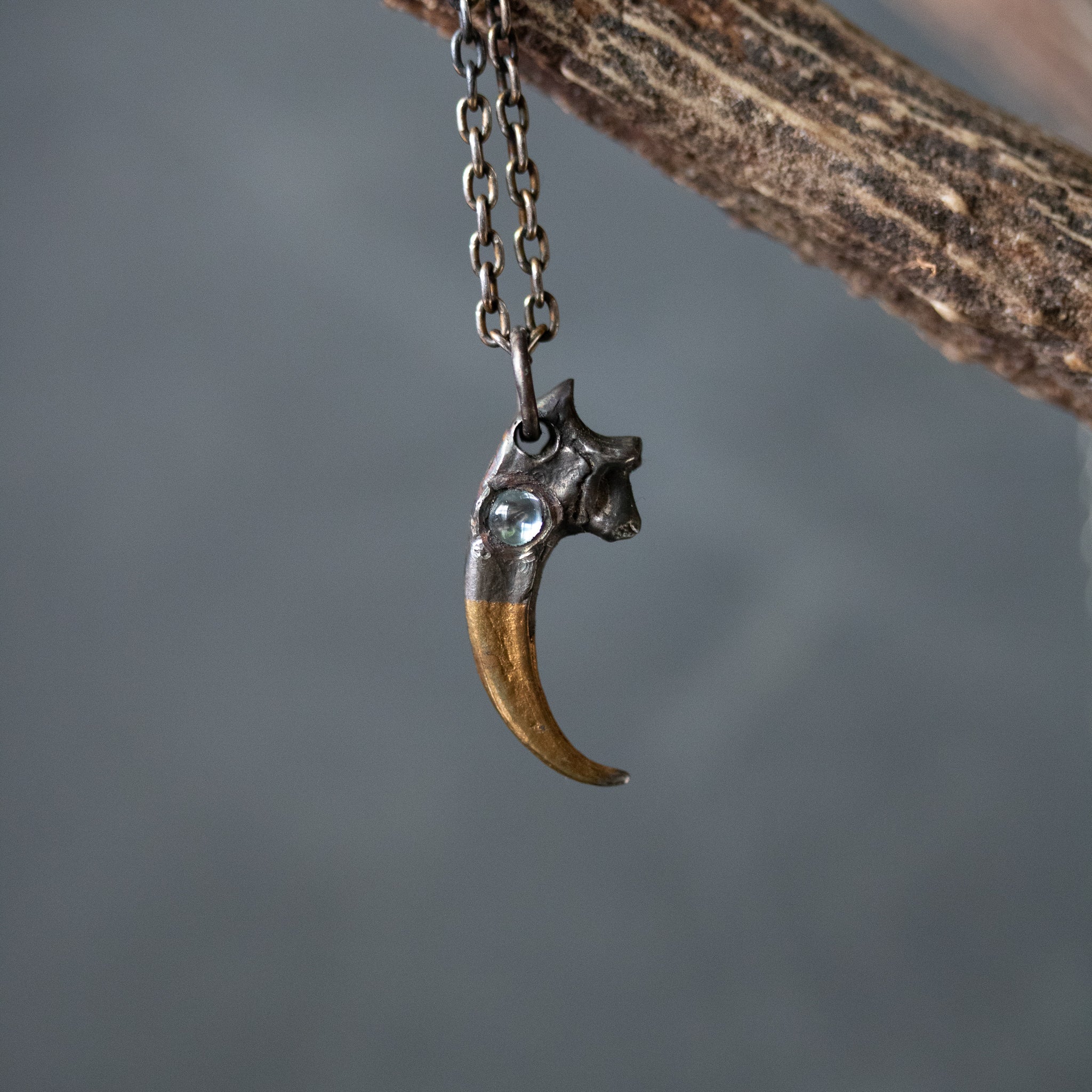 Peregrine Falcon Talon with Aquamarine - Machinations