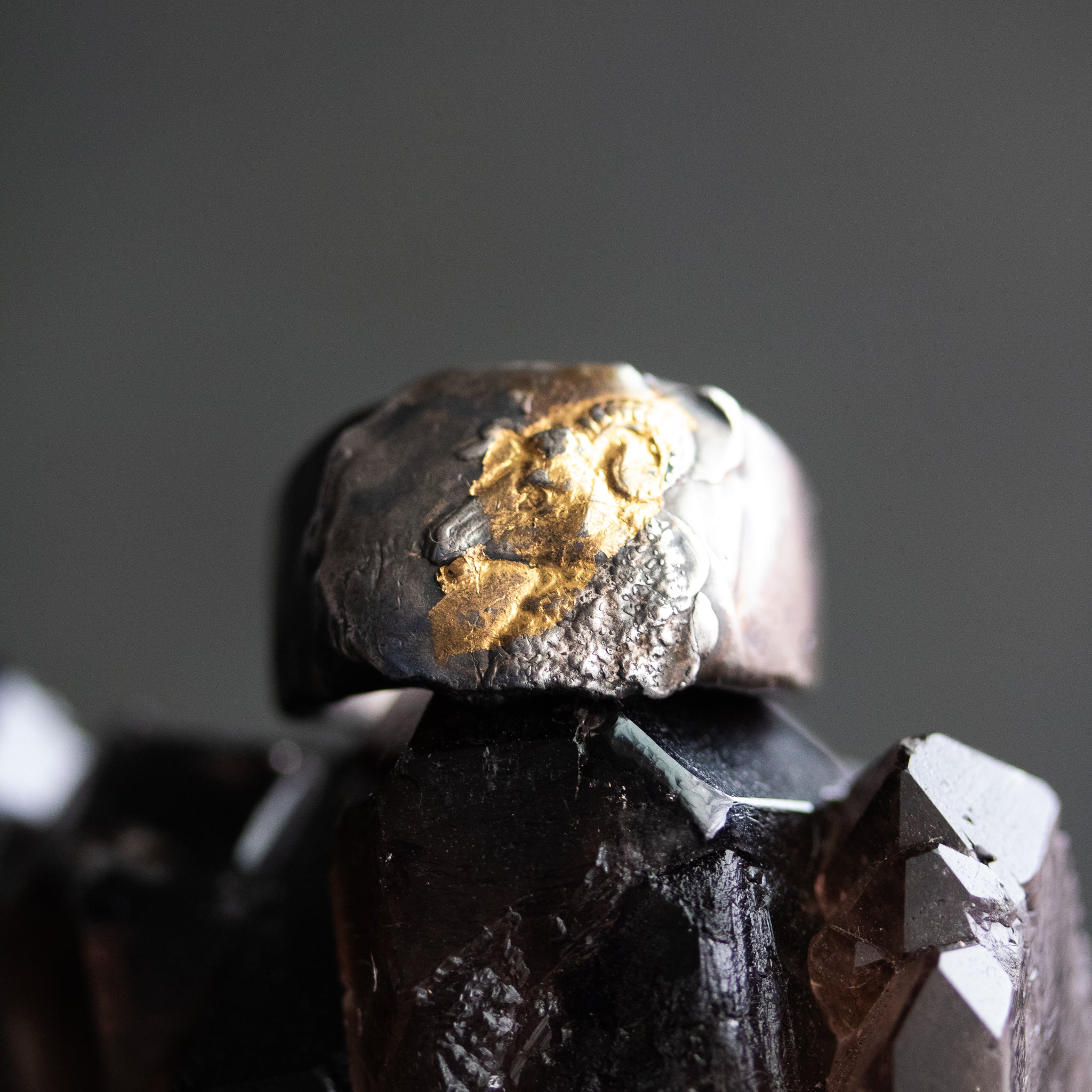 Ram small Signet Ring - Machinations