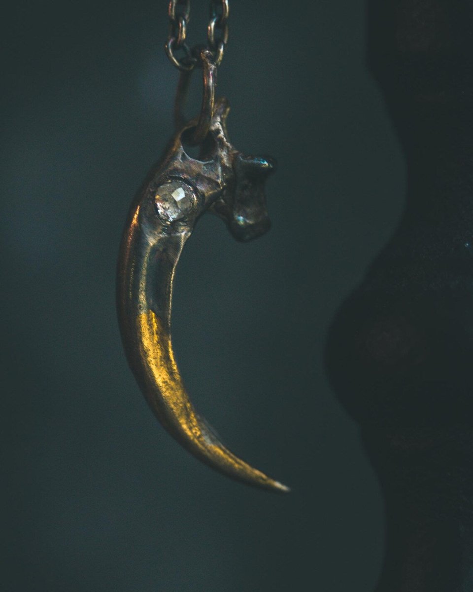 Raven Talon Pendant with Icy White Rose Cut Diamond in Sterling Silver and 23.5K Gold: A Talisman of Prophecy, Protection, and Primal Power - Machinations