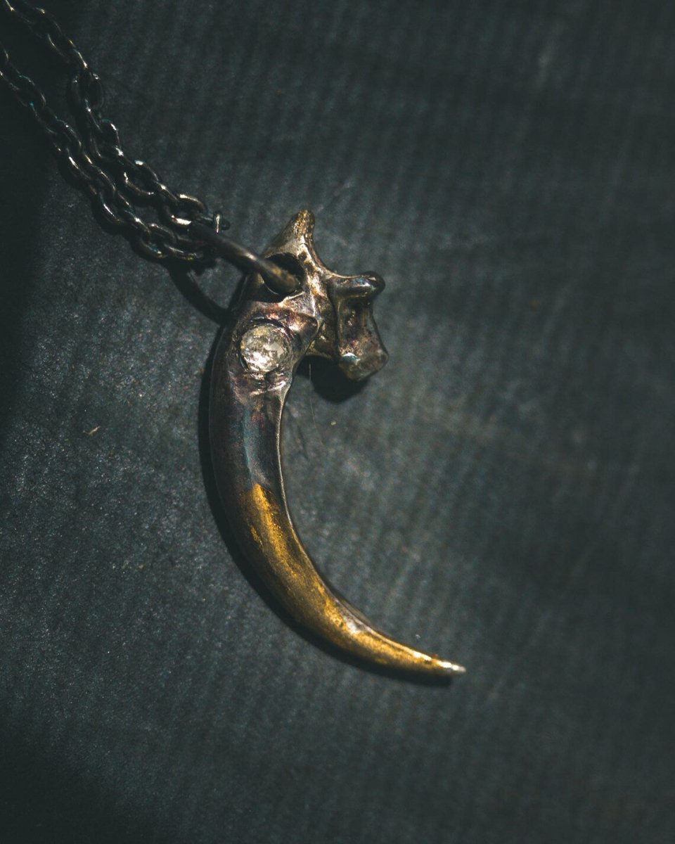 Raven Talon Pendant with Icy White Rose Cut Diamond in Sterling Silver and 23.5K Gold: A Talisman of Prophecy, Protection, and Primal Power - Machinations
