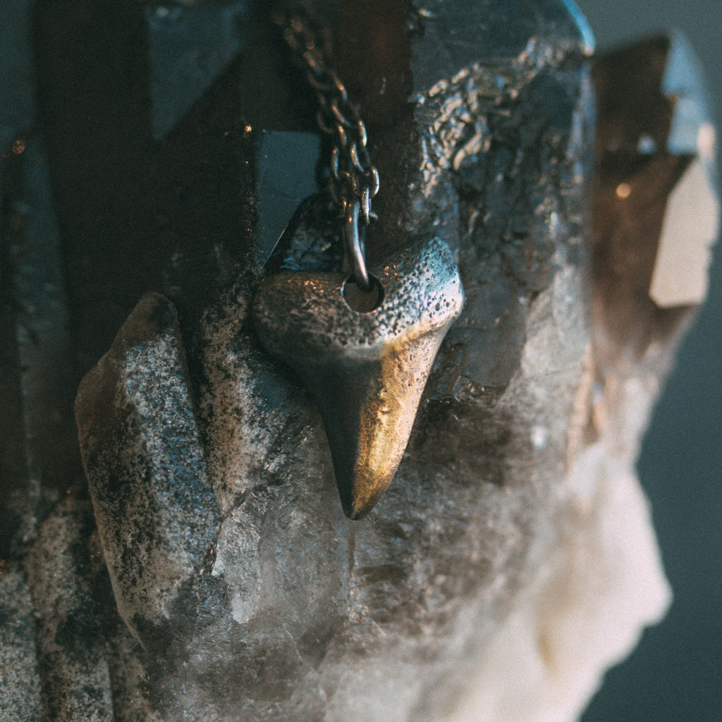 Shark Took - Machinations