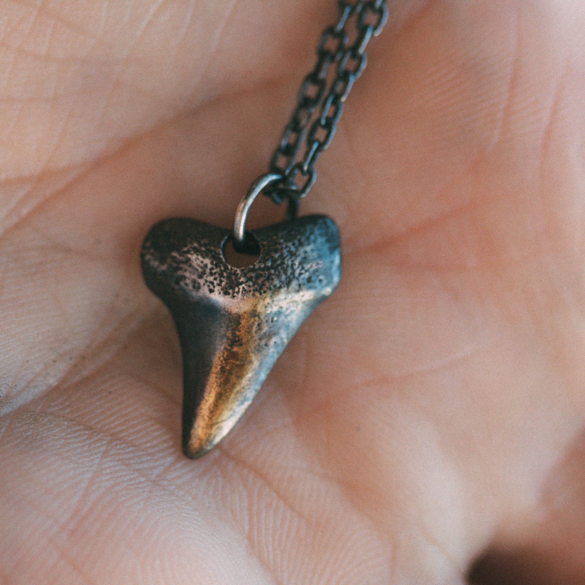 Shark Took - Machinations