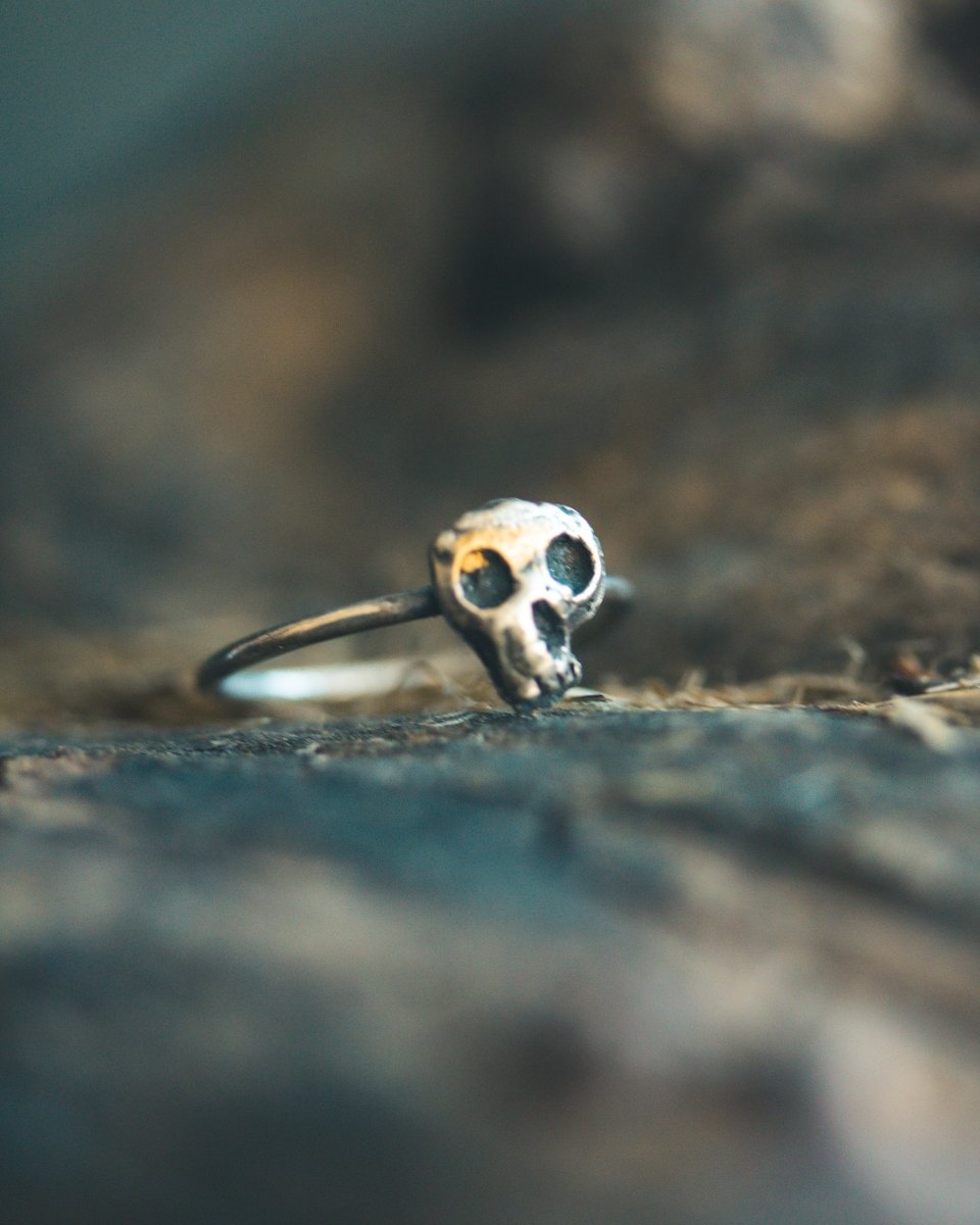 Skull Stacking Ring: A Symbol of Mortality, Strength, and Transformation - Machinations