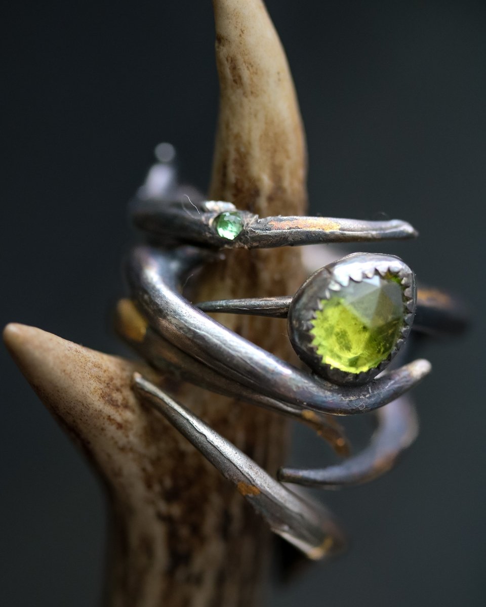 Thorn Ring: Emblem of Beauty and Resilience - Machinations