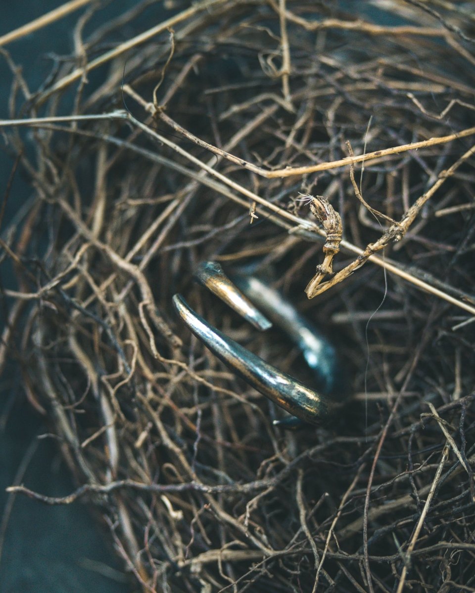Thorn Ring: Emblem of Beauty and Resilience - Machinations