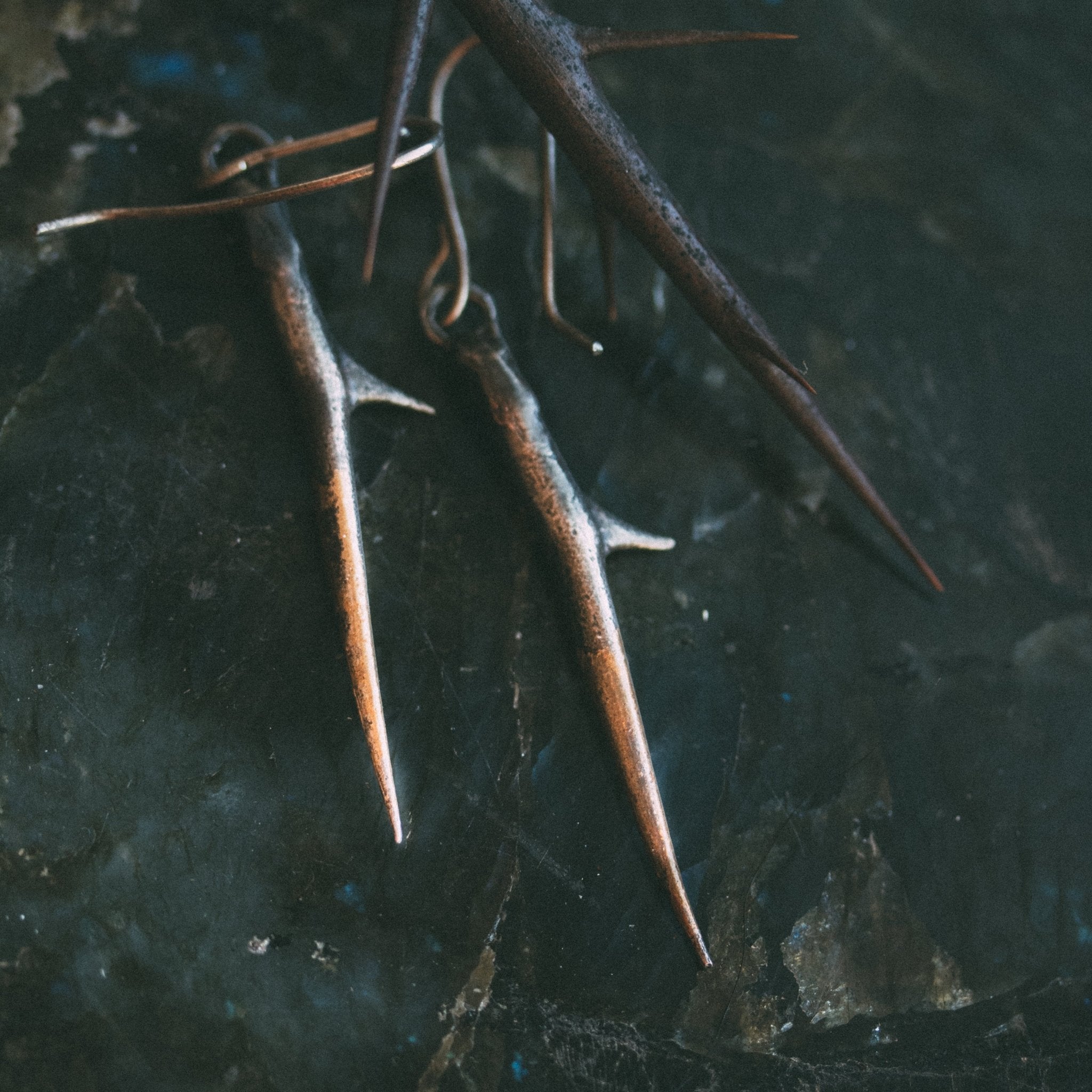 Thorns earrings - Machinations